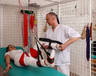 POLEX Sanatorium Uzdrowiskowe